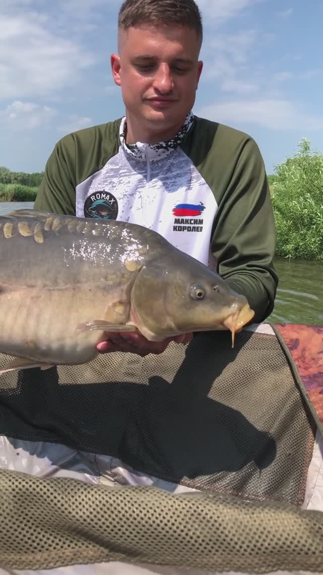 Один из зеркальных карпов на РСК Стадион