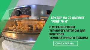 🐥Идеальный микроклимат для цыплят благодаря брудеру с механическим терморегулятором "Prof 70"