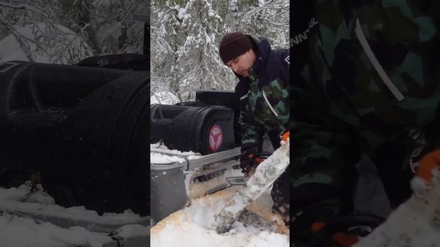 Жизнь в лесу смотреть онлайн