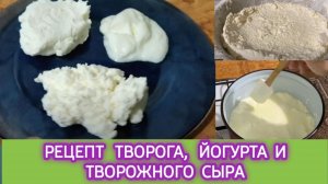 ТВОРОГ,_ЙОГУРТ_И_ТВОРОЖНЫЙ_СЫР_ИЗ_МОЛОКА_⧸ДЕЛАЕМ_САМИ_И_НАСЛАЖДАЕМСЯ