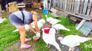 НА Хозяйстве в деревне,хроника двух дней,Алтай