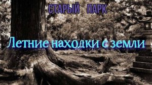 СТАРЫЙ ПАРК "ЛЕТНИЕ НАХОДКИ С ЗЕМЛИ"