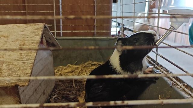 Никольская слобода и набережная Сысерти. Наше небольшое путешествие