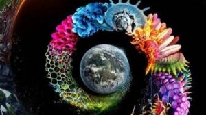 Неизвестная планета Земля 4 серия «Генезис» | NAT Geo