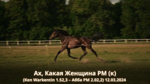 Ах, Какая Женщина РМ (к) (Ken Warkentin 1.52,3 – Абба РМ 2.02,2) 12.03.2024