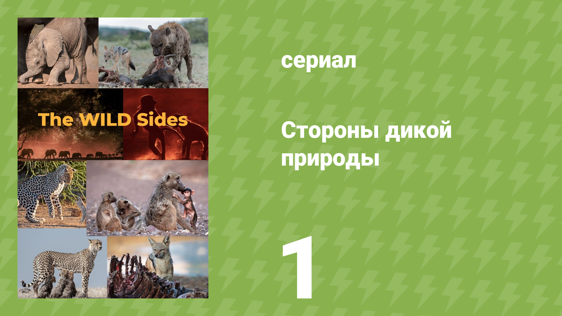 Стороны дикой природы 1 серия «Засуха» (документальный сериал, 2023) смотреть онлайн