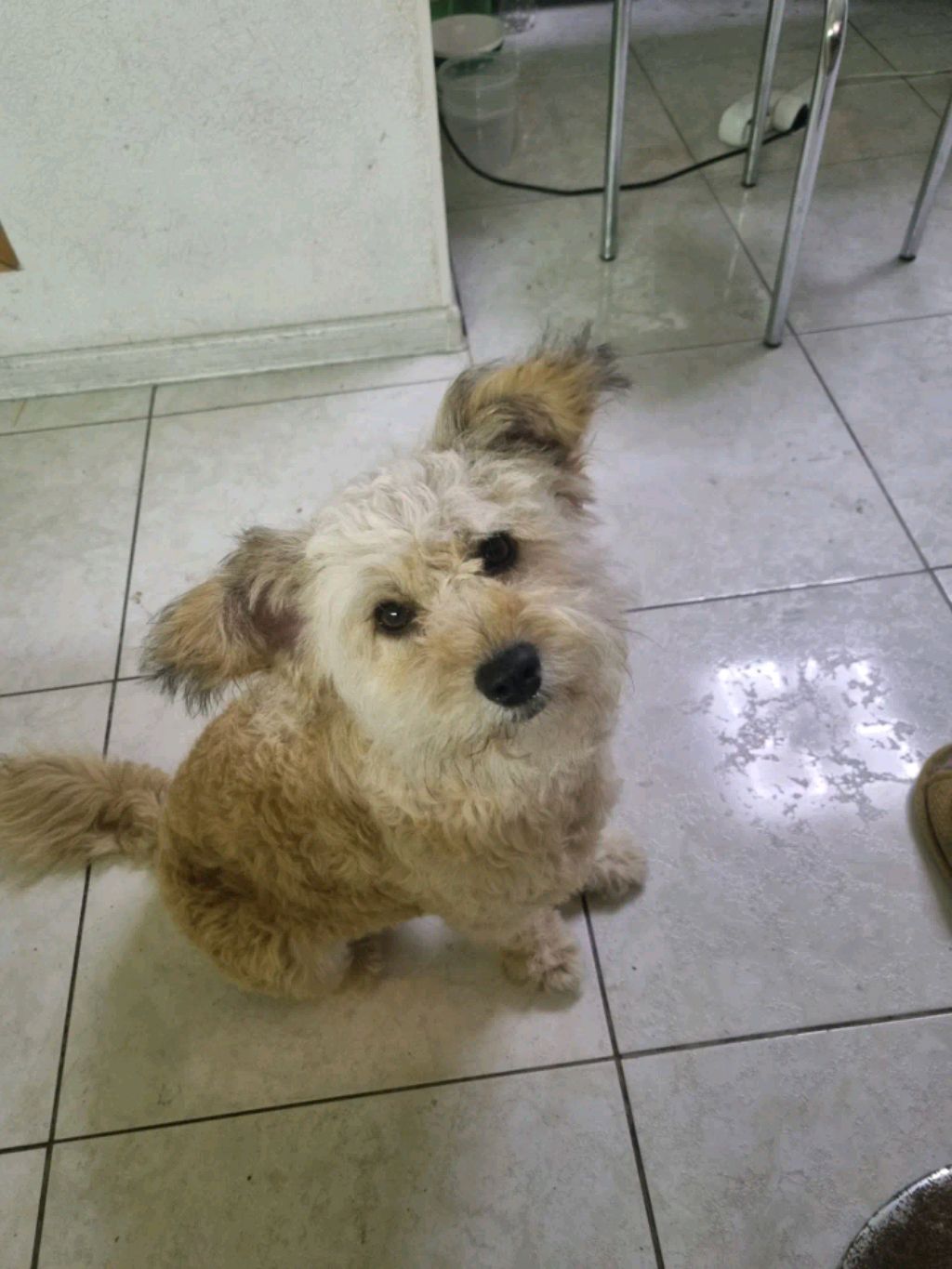 У МЕНЯ  200 ЛИСЯТОК!!!