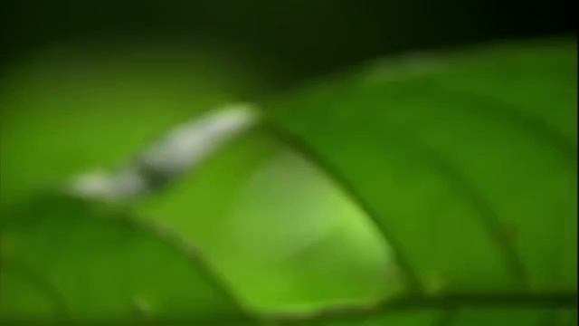 00000000000012 смотреть онлайн