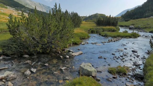 Высокие+горы+-+звуки+природы.+Природа.+Реки,+Озёра,+Луга,+Горизонты.+Живая+Природа-00.25.35.264-00.2 смотреть онлайн