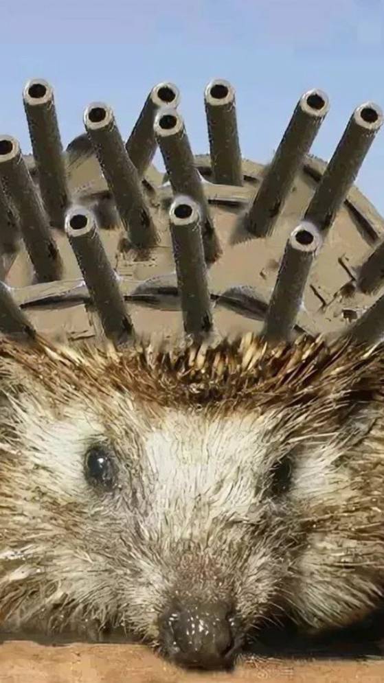 ЕЖИ в Анапе смотреть онлайн