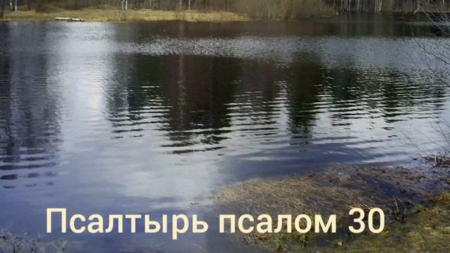 Псалтырь Псалмы Давида 1-50 смотреть онлайн