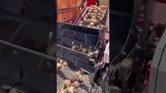 Китайская сельскохозяйственная механизация. смотреть онлайн