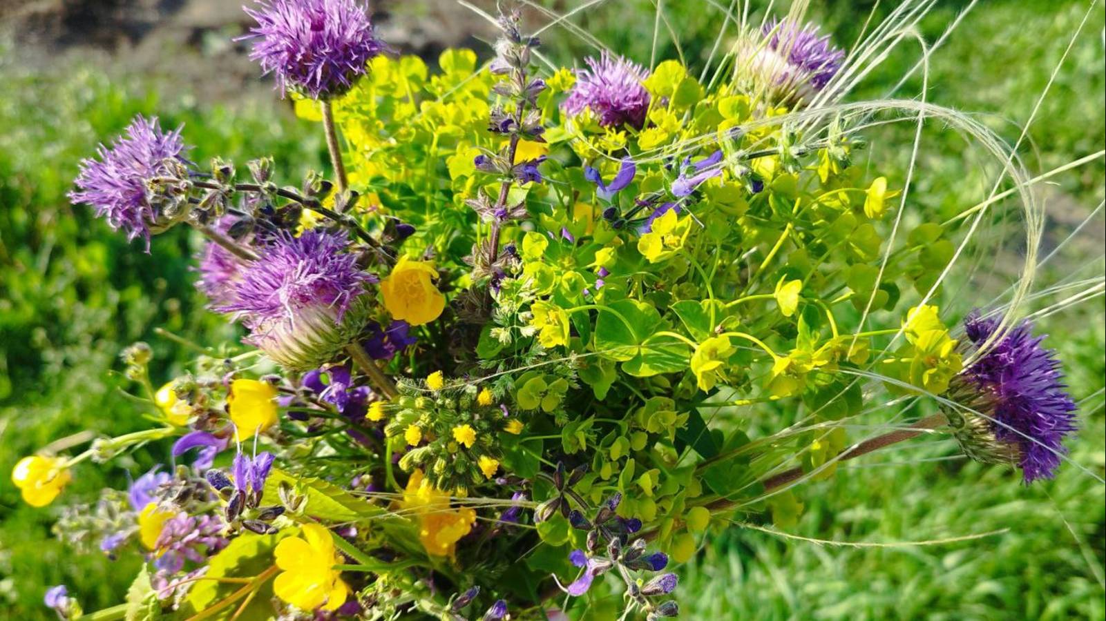 Три дня деревенской перезагрузки:огород,дождь и мамина любовь! ДЕНЬ ВТОРОЙ И ДЕНЬ ТРЕТИЙ:)