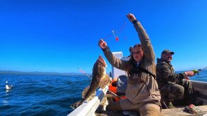 КАК РЫБАЧАТ НА САХАЛИНЕ! ЛОВЛЮ КАМБАЛУ,СЕЛЕДКУ! РЫБАЛКА В МОРЕ