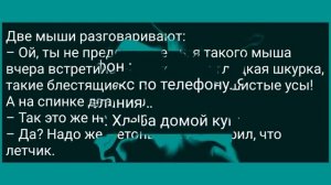 Как Мыкола На Куму Залез! Сборник Свежих Анекдотов! Юмор