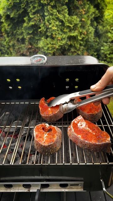 Копченая рыба на угольном гриле HOT SIDE Easy GO #гриль #bbq