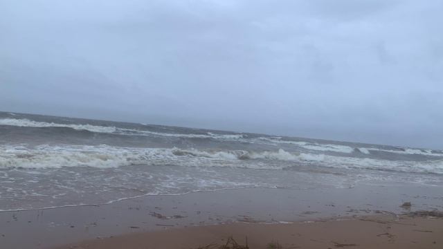 Шторм на Финском заливе 29.06.2025 смотреть онлайн