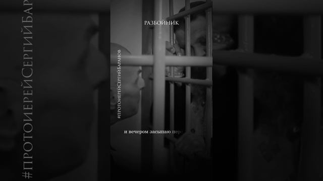 Разбойник #протоиерейСергийБаранов смотреть онлайн