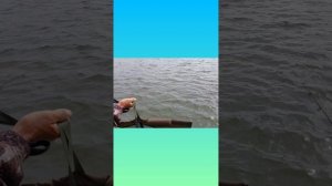 Озеро Big Fish ст. Незлобная Ставропольский край #озеробигфиш #станицанезлобная #рыбалкакарп #26кмв