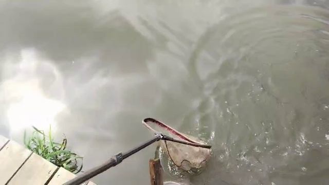 Снова Карпуша смотреть онлайн