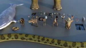 Размеры существ планеты