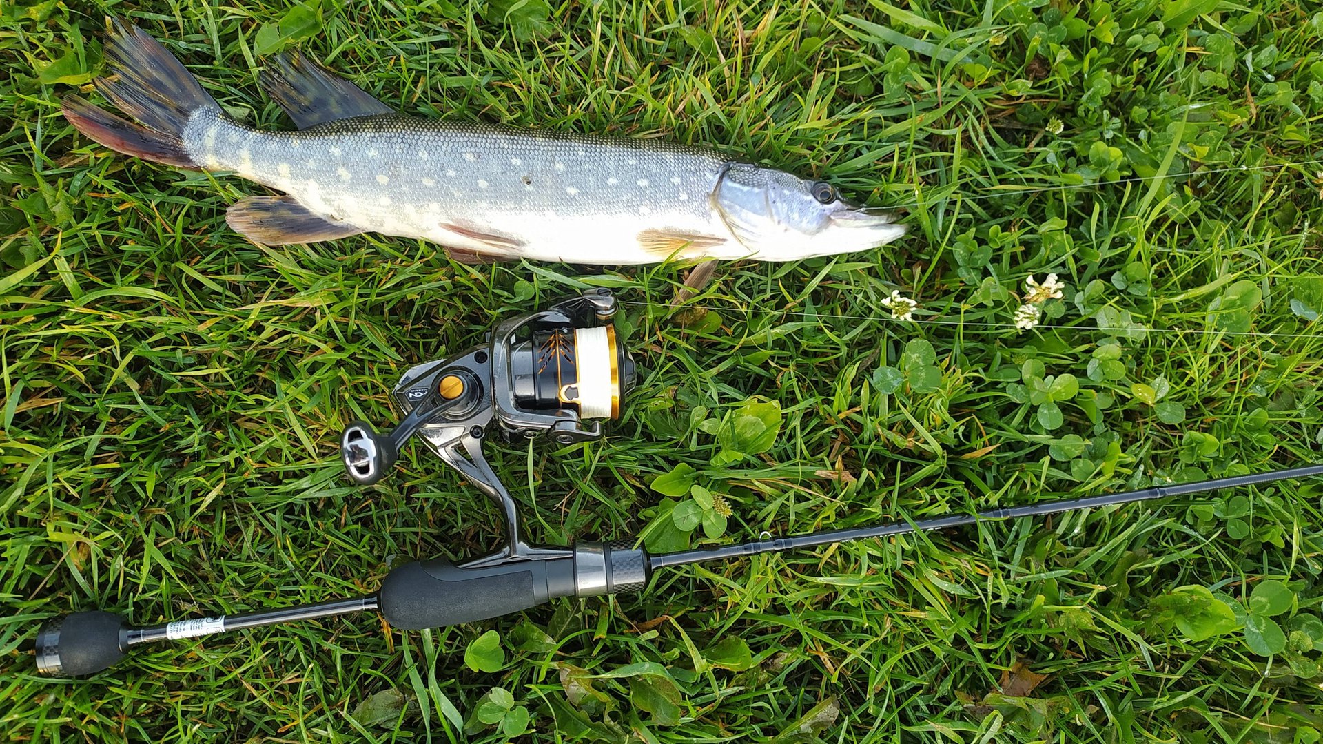 Тестирование новых образцов силикона