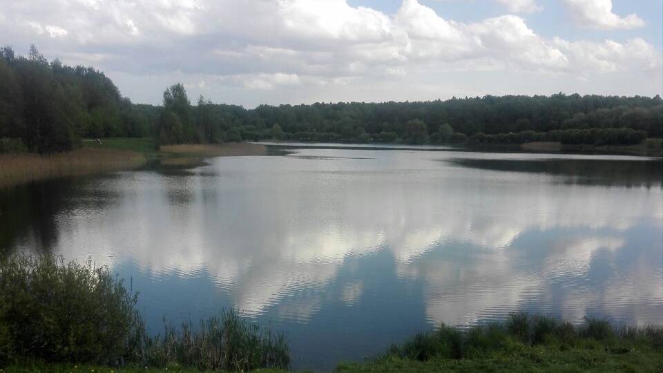 Знакомство с автором. смотреть онлайн