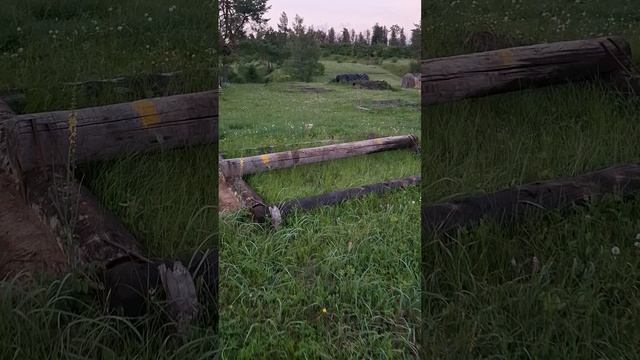 Стадион НАРНИЯ 2025