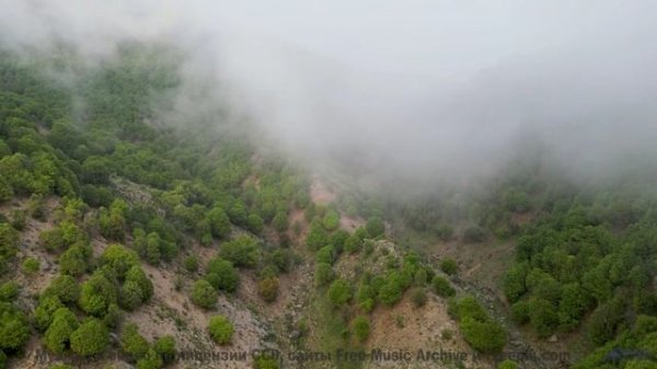 Это видео изменит ваш день! - Creative Writing -- Chad Crouch -- Motion