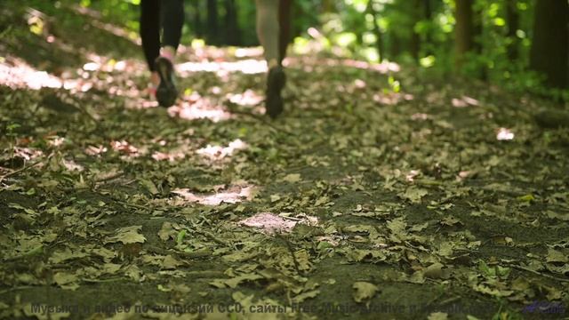 Почему ученые боятся этой комбинации звуков и образов - Space -- Chad Crouch -- Arps II