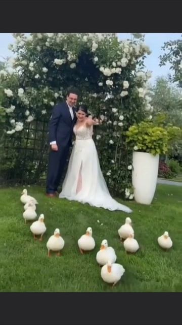 За королеву!!!! смотреть онлайн