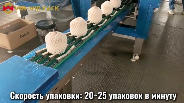 WIN-WIN PACK Автоматическая машина для упаковки кокосов