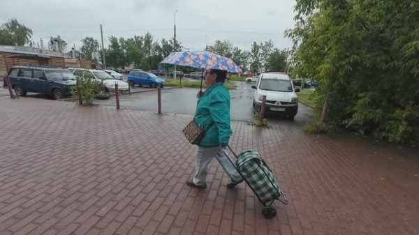 Путешествие в Садовый центр начало июля 2025 года