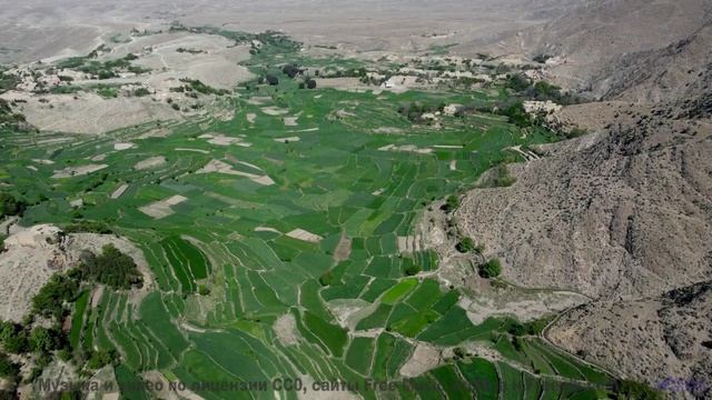 Пейзажи проникают в кровь вместе с этим саундом - Songwriter For Life -- Taylor Poe -- Quiet Sound O