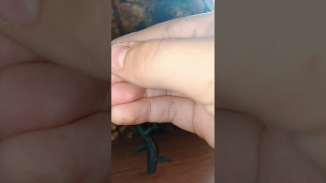 1000011051.mp4лепим горох из игры вырасти сад