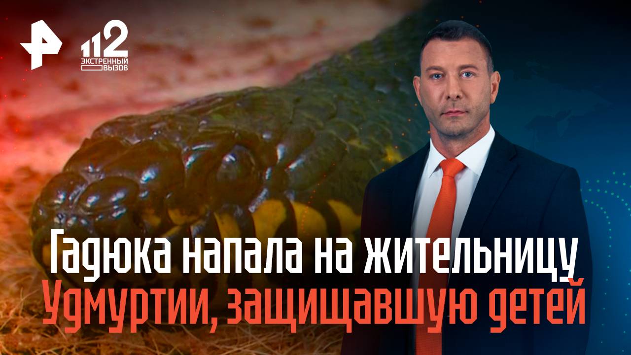 Гадюка напала на жительницу Удмуртии, защищавшую детей от змеи смотреть онлайн