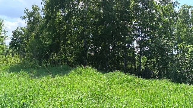 Loneliness. смотреть онлайн