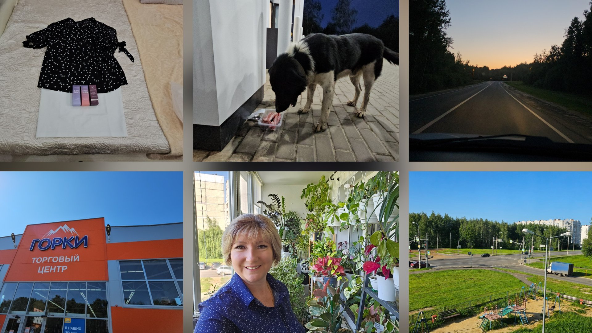 03.07.2025 г Погода супер/ День со мной/ Работаю на автомойке/ Кормим собаку Дизеля/ Заказ с Wb смотреть онлайн