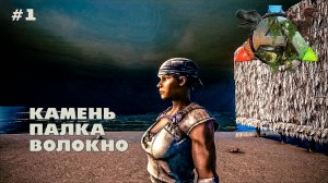 ARK Survival Evolved #1 Камень палка волокно (без модов, соло, the island)