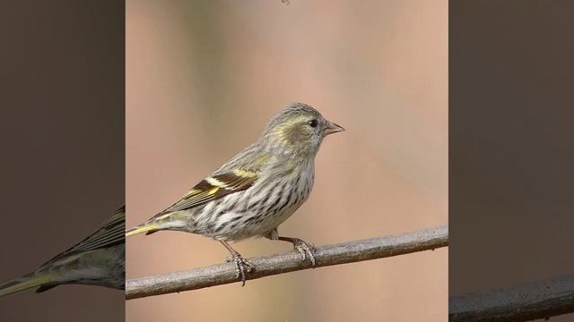 Это интересно-19