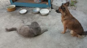 Жизнь в деревне - События дня: