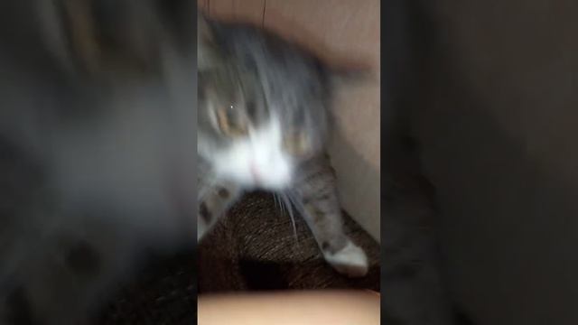 Вот это КУСЬ!!!