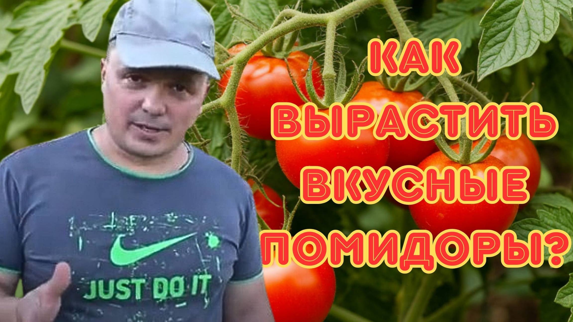 Томаты безвкусные и водянистые. Как улучшить вкус томатов. смотреть онлайн