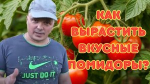 Томаты безвкусные и водянистые. Как улучшить вкус томатов.