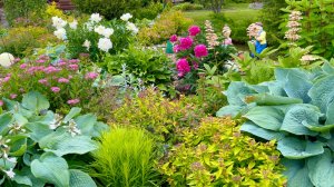 Подведение итогов прошедшего июня. Панорамный обзор участка.