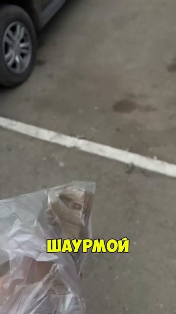 #shorts #шаурма