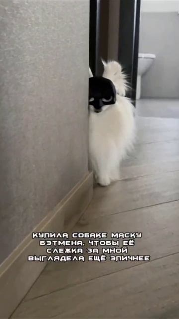 Эпик смотреть онлайн