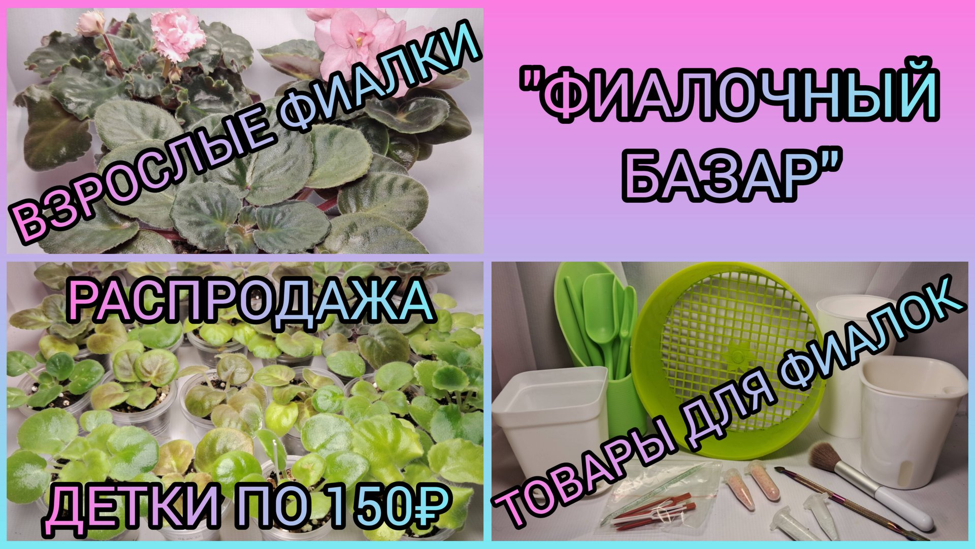 "ФИАЛОЧНЫЙ БАЗАР". Продажа фиалок. Товары для фиалок. смотреть онлайн