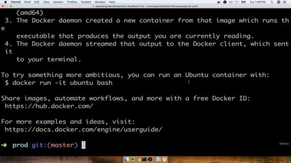 1. Docker Run in Detail