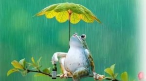 03-07-2025 Жизнь в деревне 🏡